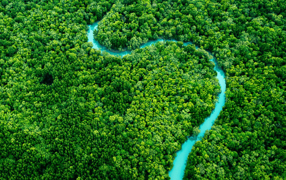 Trang chủ - Masan Consumer