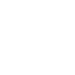 Governance - Masan Consumer