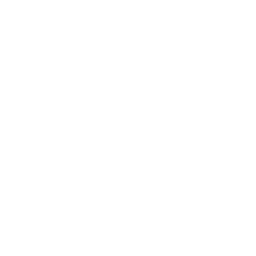 Overview - Masan Consumer