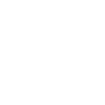 Governance - Masan Consumer