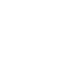 Overview - Masan Consumer