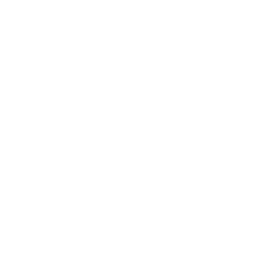 Overview - Masan Consumer