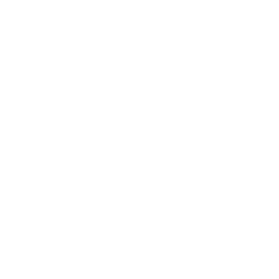 Overview - Masan Consumer