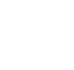 Overview - Masan Consumer