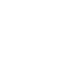 Overview - Masan Consumer